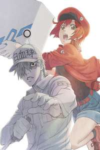 Cells at Work! - Posters