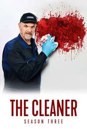 The Cleaner