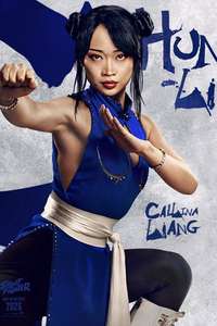 Street Fighter - Posters