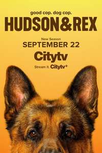 Hudson & Rex - Posters