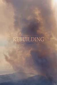 Rebuilding - Posters