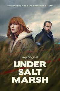 Under Salt Marsh - Posters