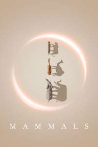Mammals - Posters