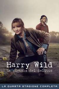 Harry Wild - Posters