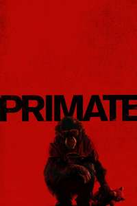 Primate - Posters