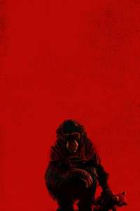 Primate - Posters