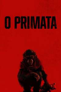 Primate - Posters