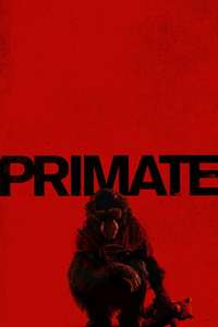 Primate - Posters