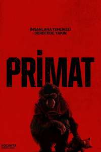 Primate - Posters