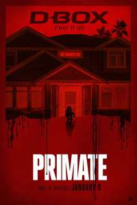 Primate - Posters