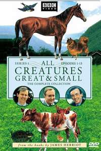 All Creatures Great and Small - Posters
