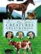 All Creatures Great and Small : Season 1