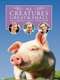 All Creatures Great and Small : Season 7
