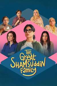 The Great Shamsuddin Family - Posters