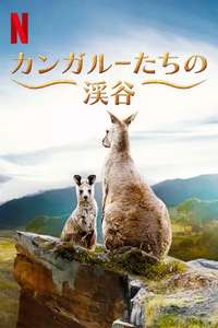 Kangaroo Valley - Posters