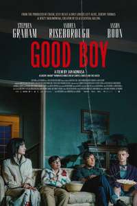 Good Boy - Posters