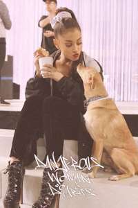 Dangerous Woman Diaries - Posters