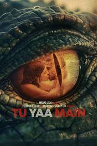 Tu Yaa Main - Posters