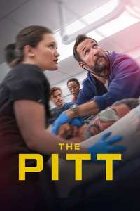 The Pitt - Posters