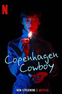 Copenhagen Cowboy - Posters