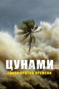 Tsunami: Race Against Time - Posters