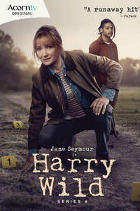 Harry Wild - Posters