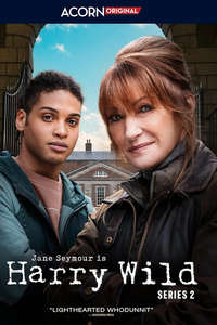 Harry Wild - Posters