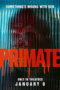 Primate - Posters