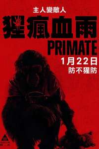 Primate - Posters