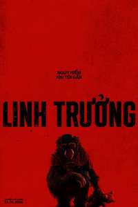 Primate - Posters