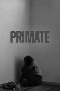 Primate - Posters