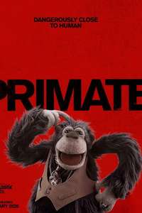 Primate - Posters