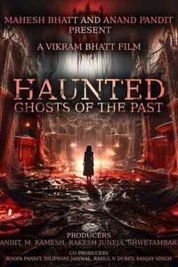 Haunted 3D: Echoes of the Past - Posters