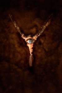 Return to Silent Hill - Posters