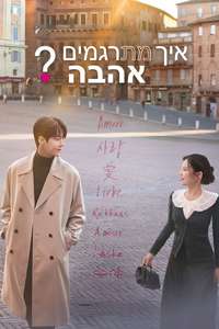 Can This Love Be Translated? - Posters