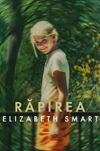 Kidnapped: Elizabeth Smart - Posters