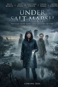 Under Salt Marsh - Posters