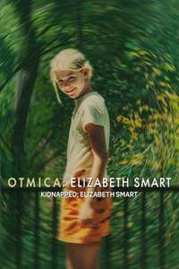 Kidnapped: Elizabeth Smart - Posters