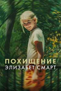 Kidnapped: Elizabeth Smart - Posters