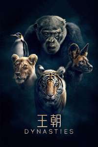 Dynasties - Posters