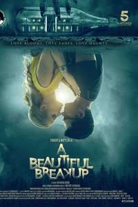 A Beautiful Breakup - Posters