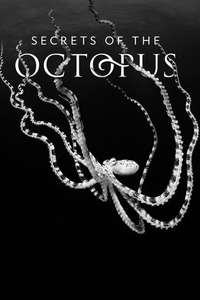 Secrets of the Octopus - Posters
