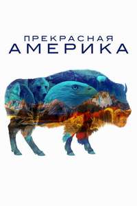 America The Beautiful - Posters