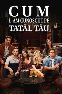 How I Met Your Father - Posters