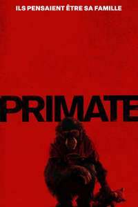 Primate - Posters