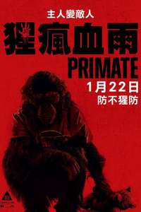Primate - Posters