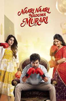 Nari Nari Naduma Murari