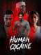 HUMAN COCAINE