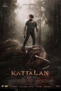 Kattalan - Posters