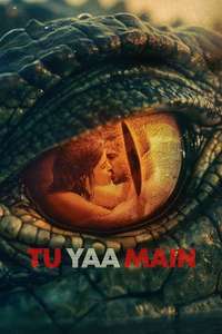 Tu Yaa Main - Posters